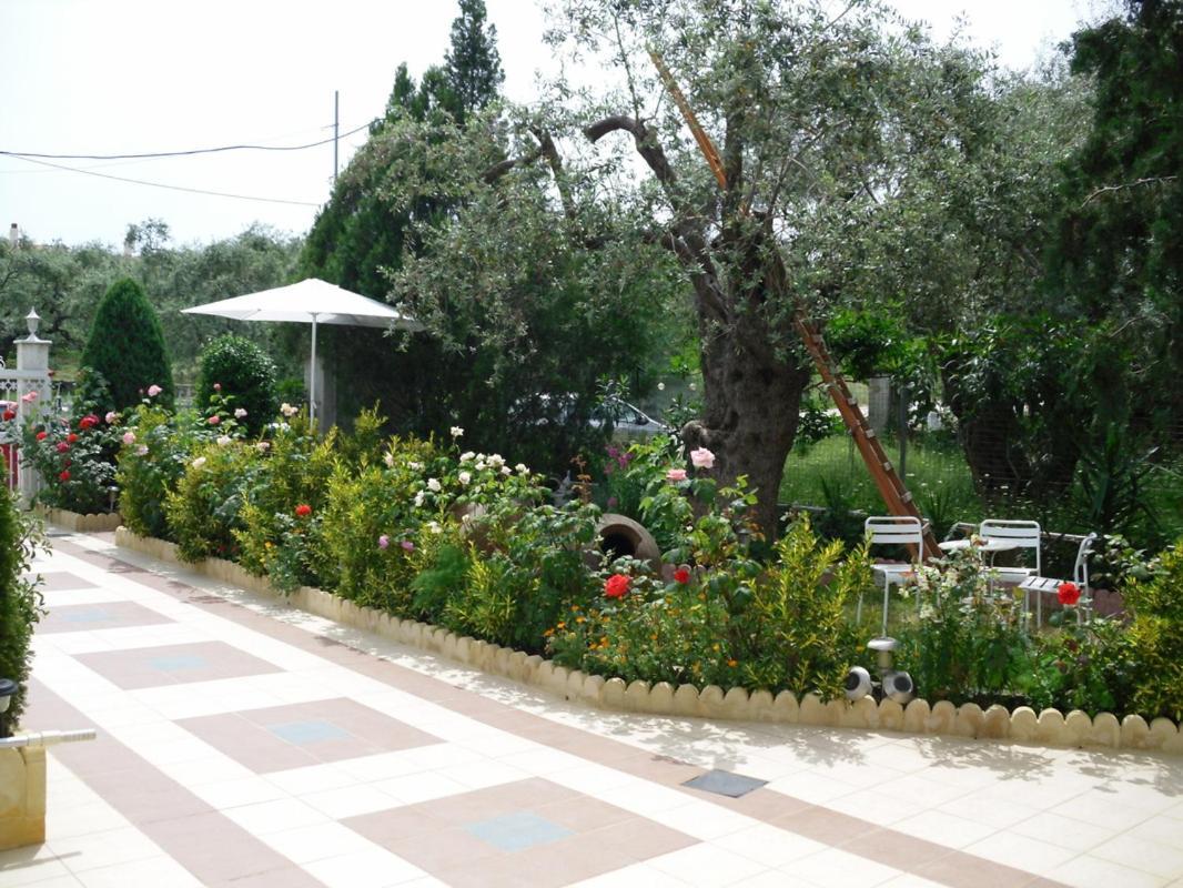 Ioli Apartments Limenas  Esterno foto