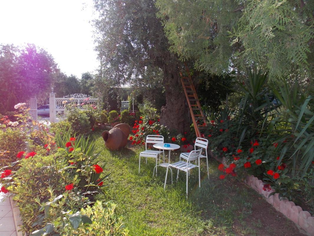Ioli Apartments Limenas  Esterno foto